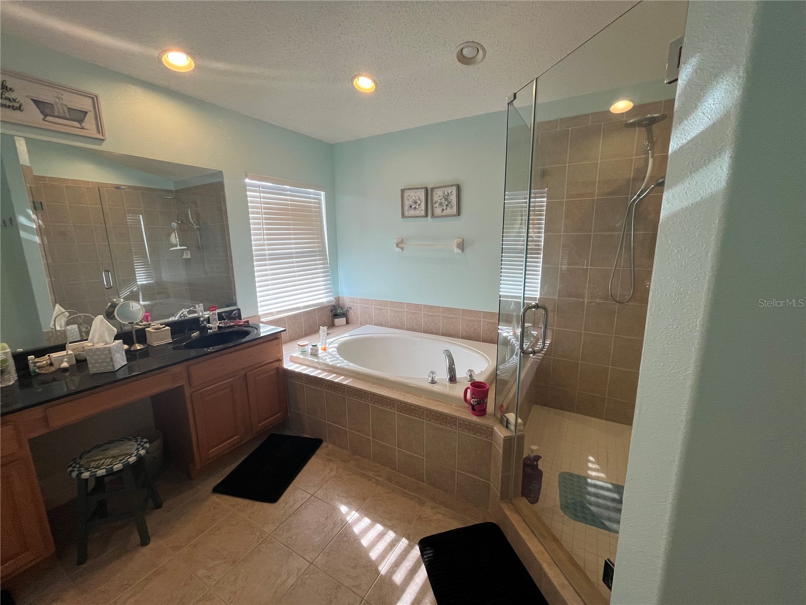 1914 Oswego Drive Holiday FL 34691 W7883046 image27