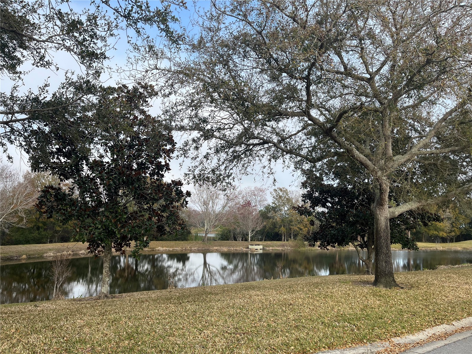 1914 Oswego Drive Holiday FL 34691 W7883046 image30