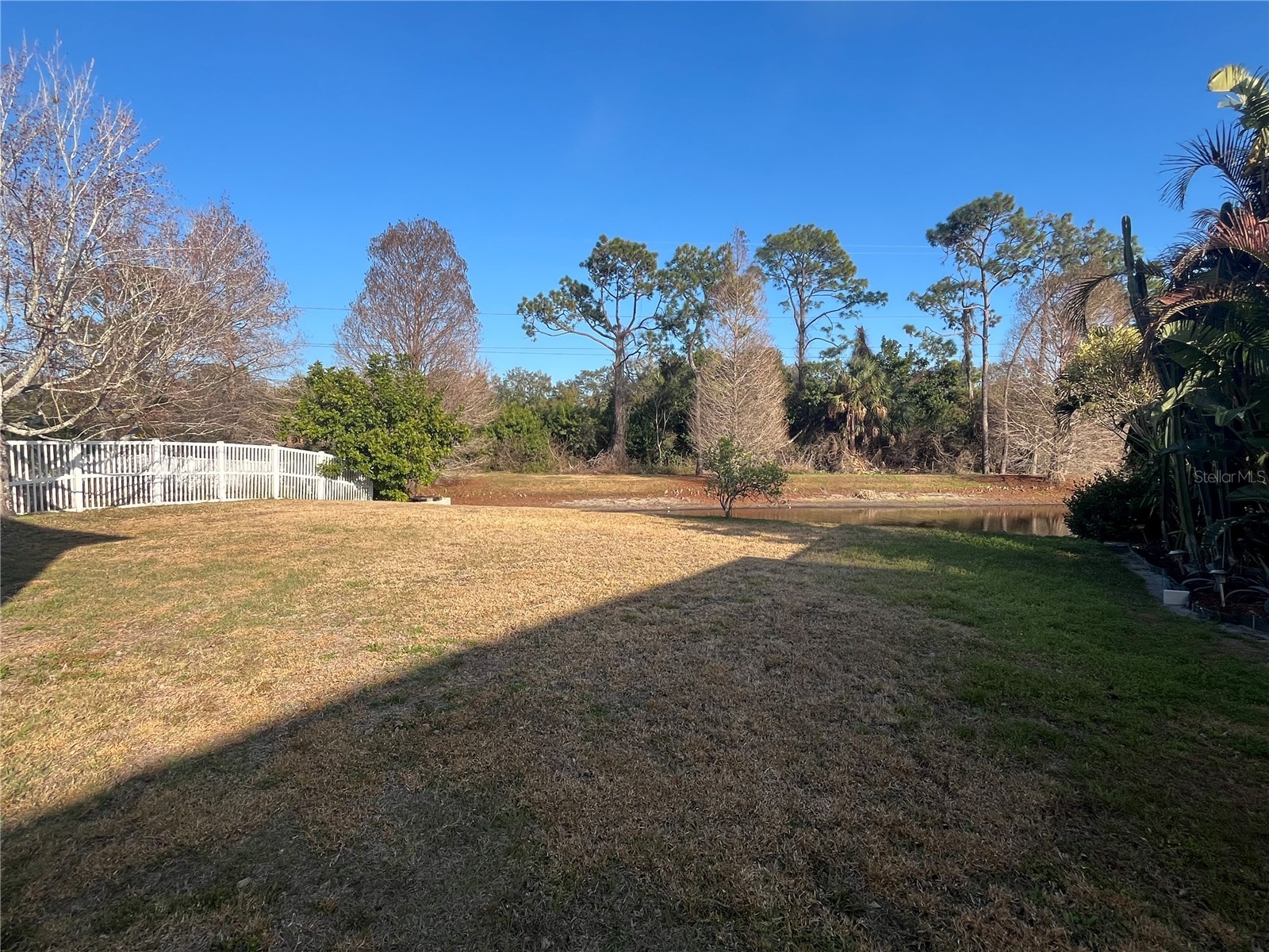 1914 Oswego Drive Holiday FL 34691 W7883046 image35