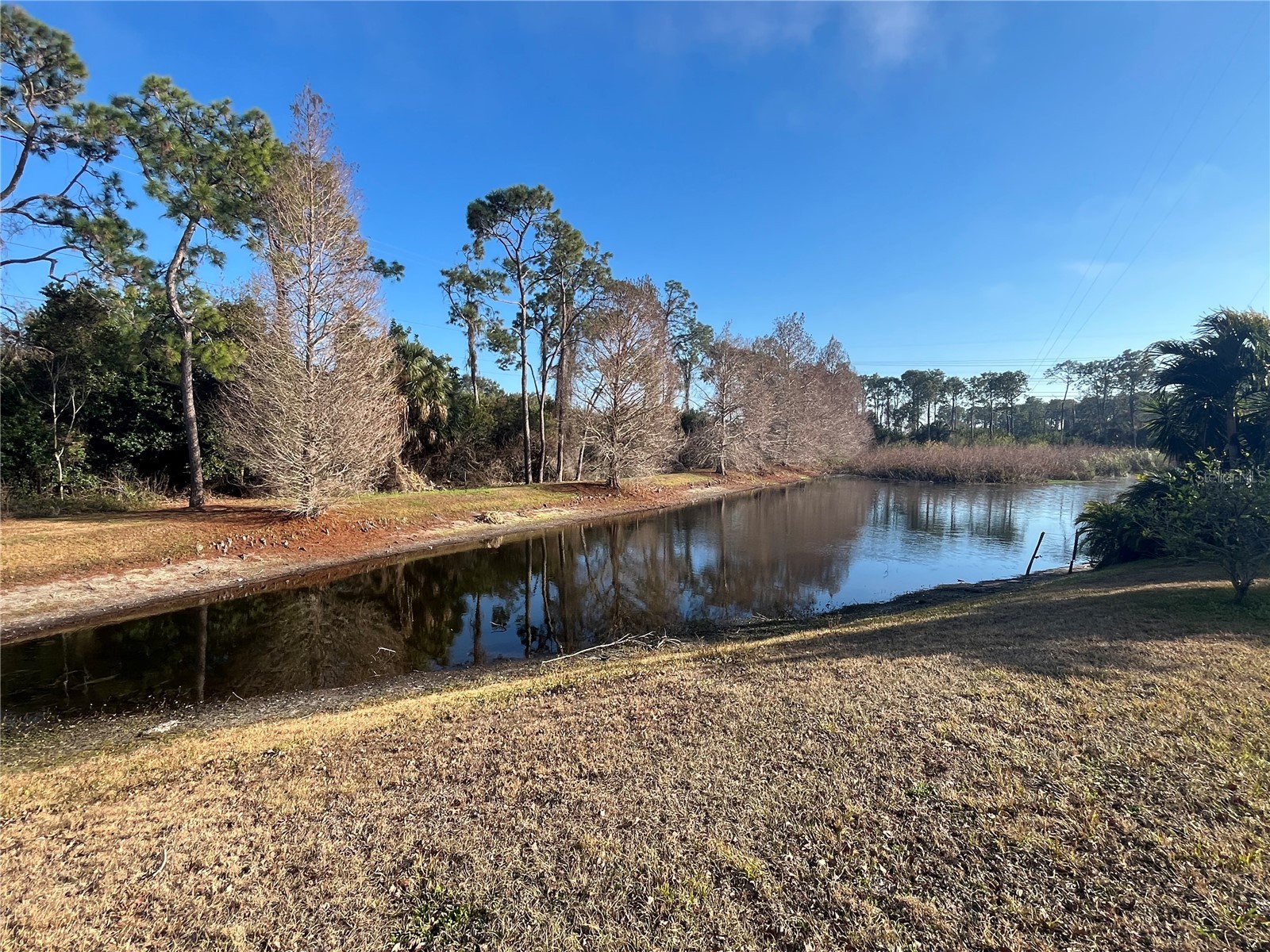 1914 Oswego Drive Holiday FL 34691 W7883046 image37