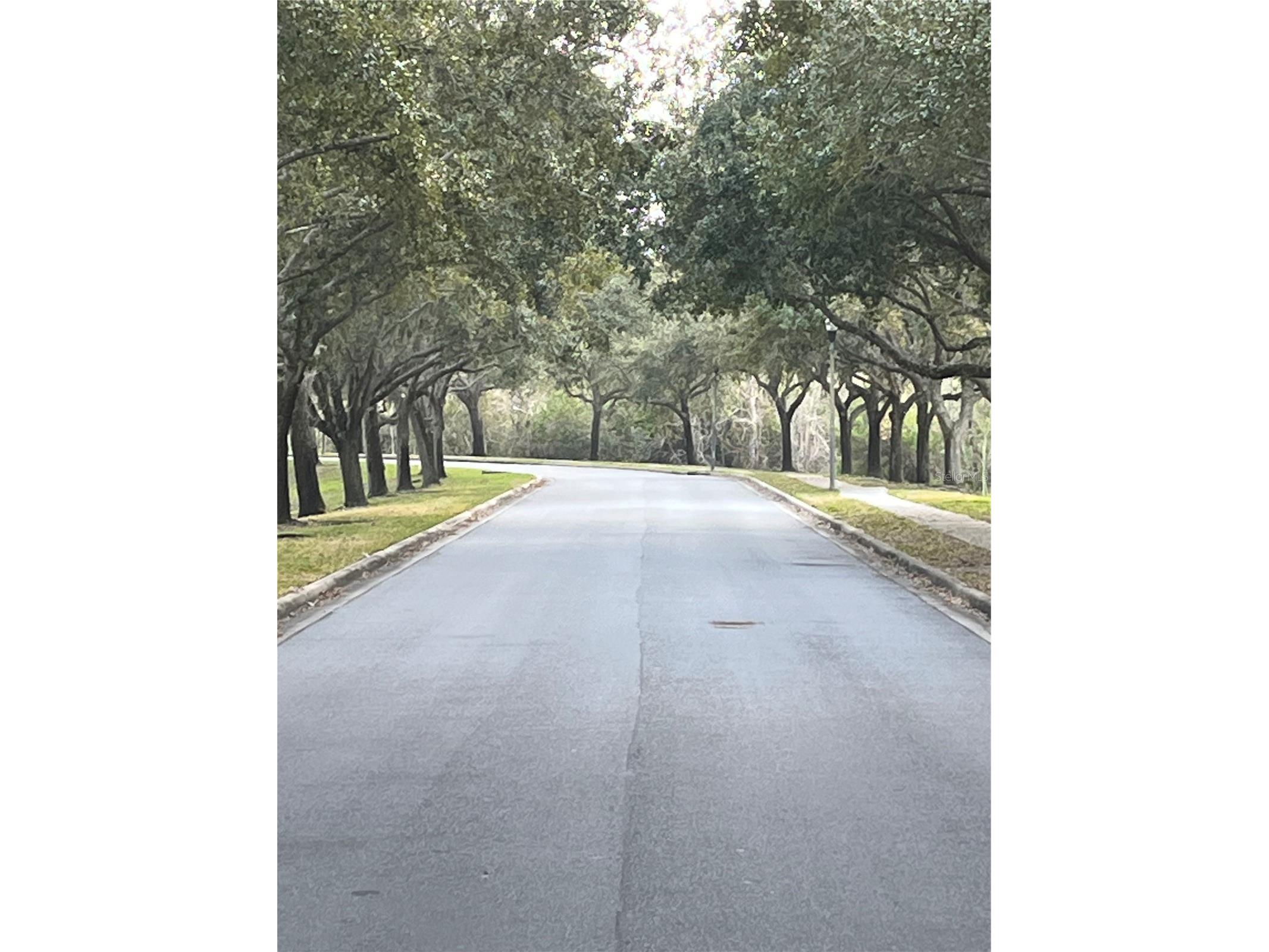 1914 Oswego Drive Holiday FL 34691 W7883046 image42