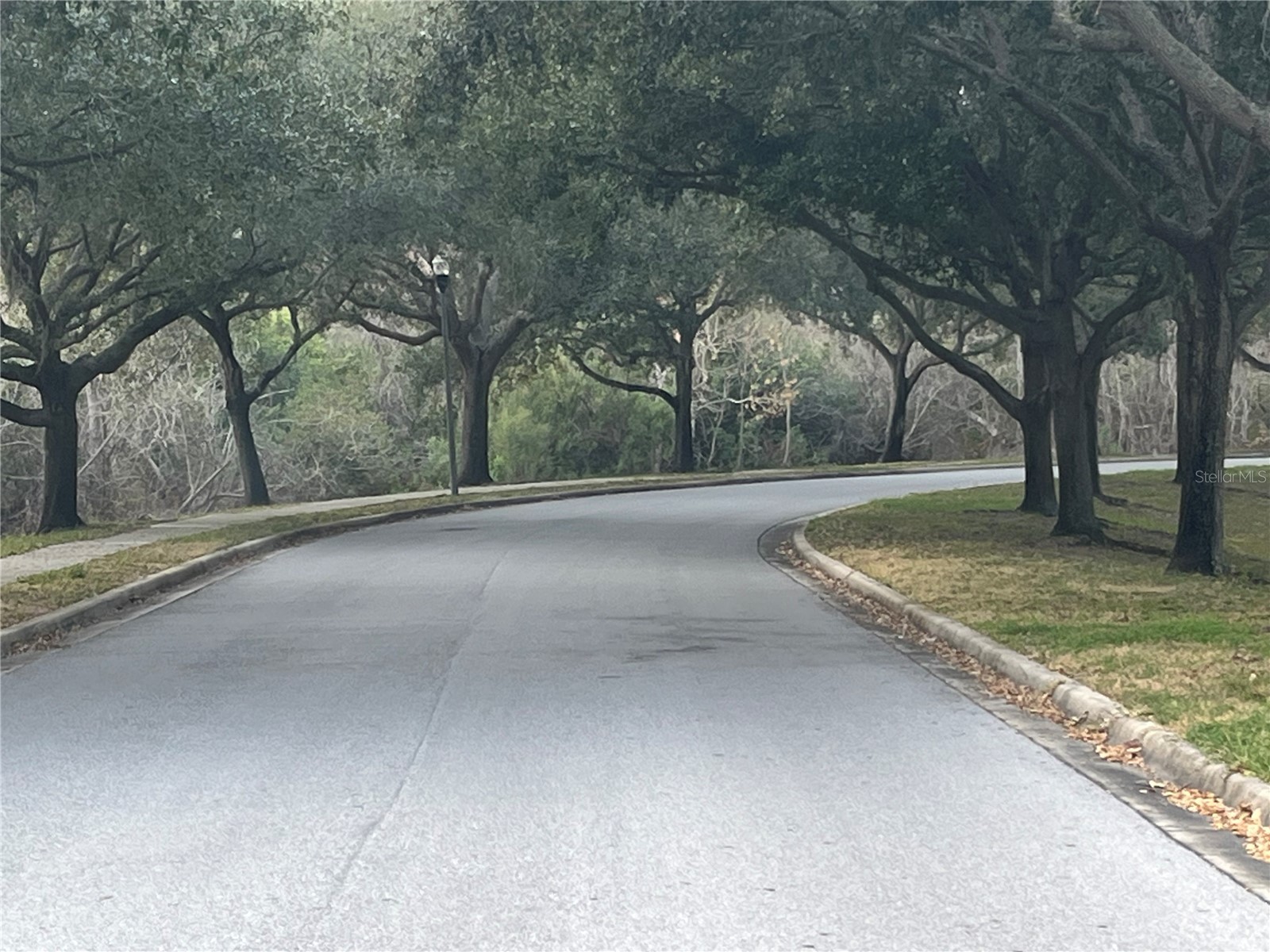 1914 Oswego Drive Holiday FL 34691 W7883046 image43