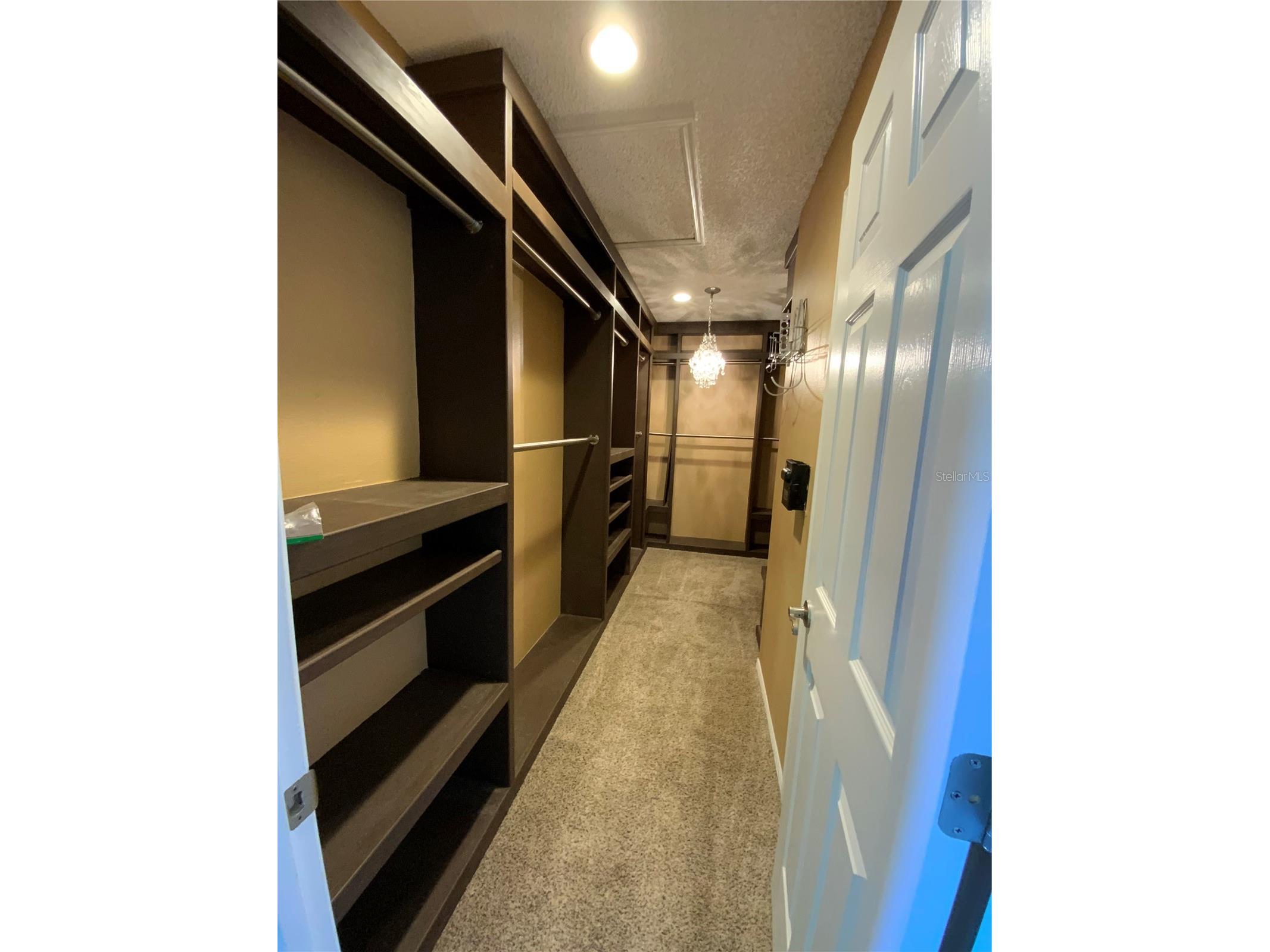 1914 Palmetto Pine Lane Orlando FL 32826 O6372643 image28