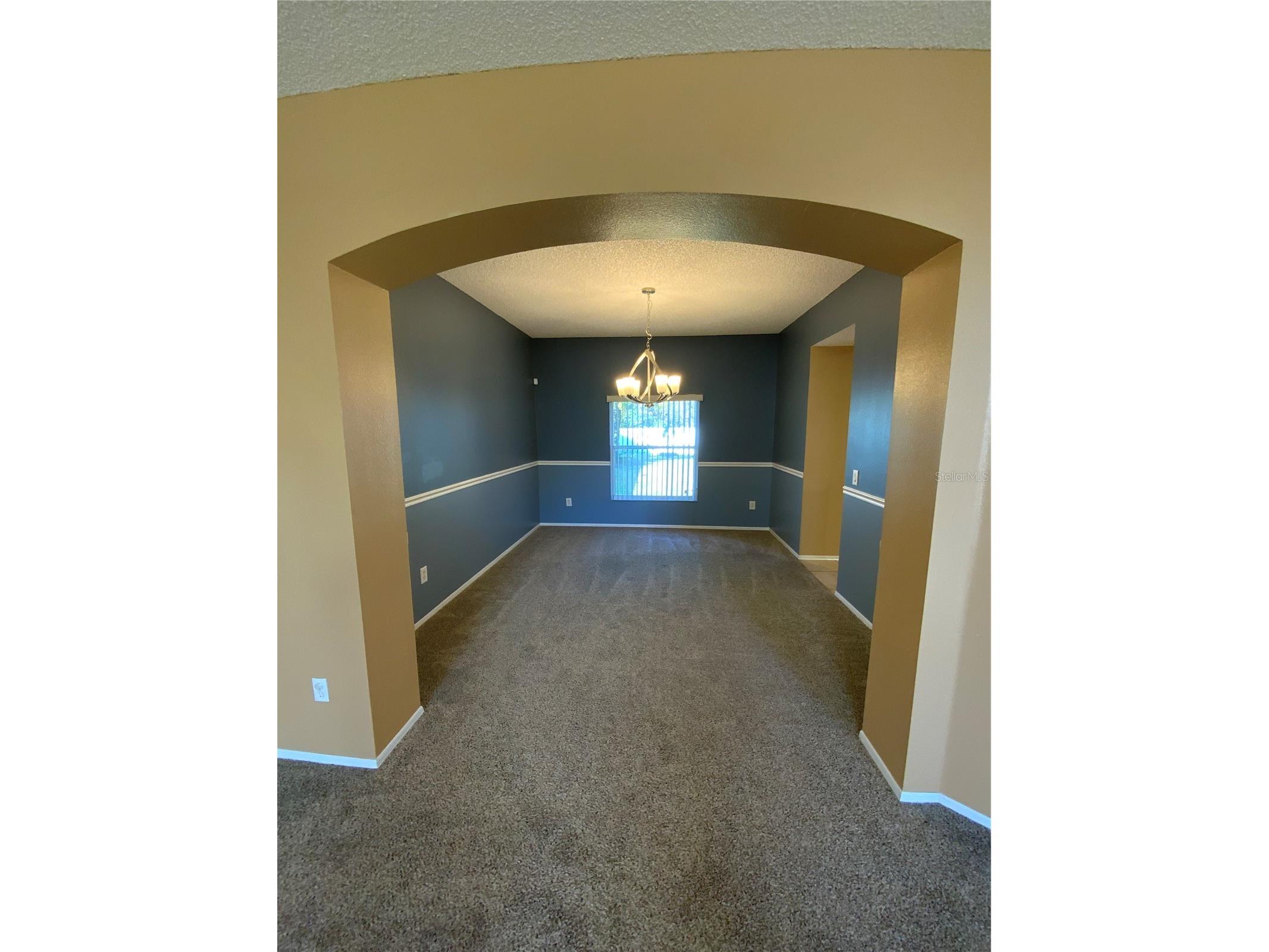 1914 Palmetto Pine Lane Orlando FL 32826 O6372643 image9