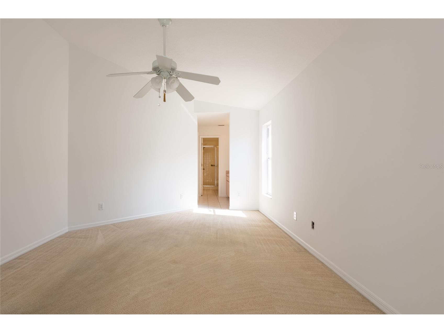 1914 Woodcut Drive Lutz FL 33559 TB8526047 image14