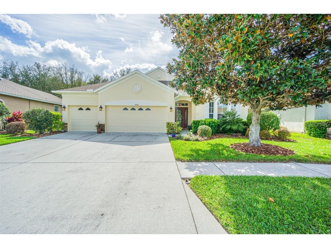 19140 Sunset Bay Drive Land O Lakes FL 34638 TB8357360 image1
