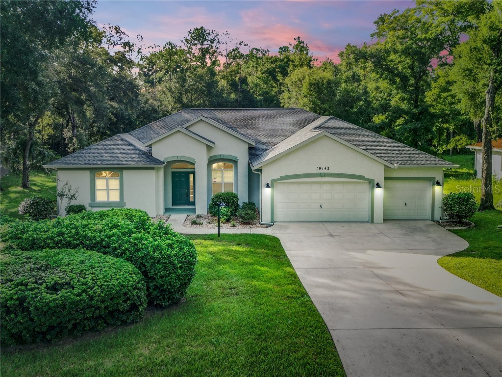 19142 SW 101st Street Dunnellon FL 34432 T3550943 image1