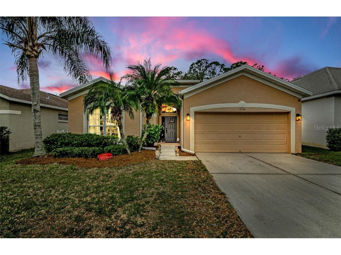 19144 Meadow Pine Drive Tampa FL 33647 TB8340786 image1