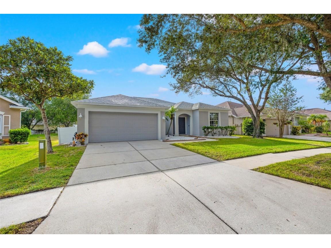 19149 Cherry Rose Circle Lutz FL 33558 T3470719 image1