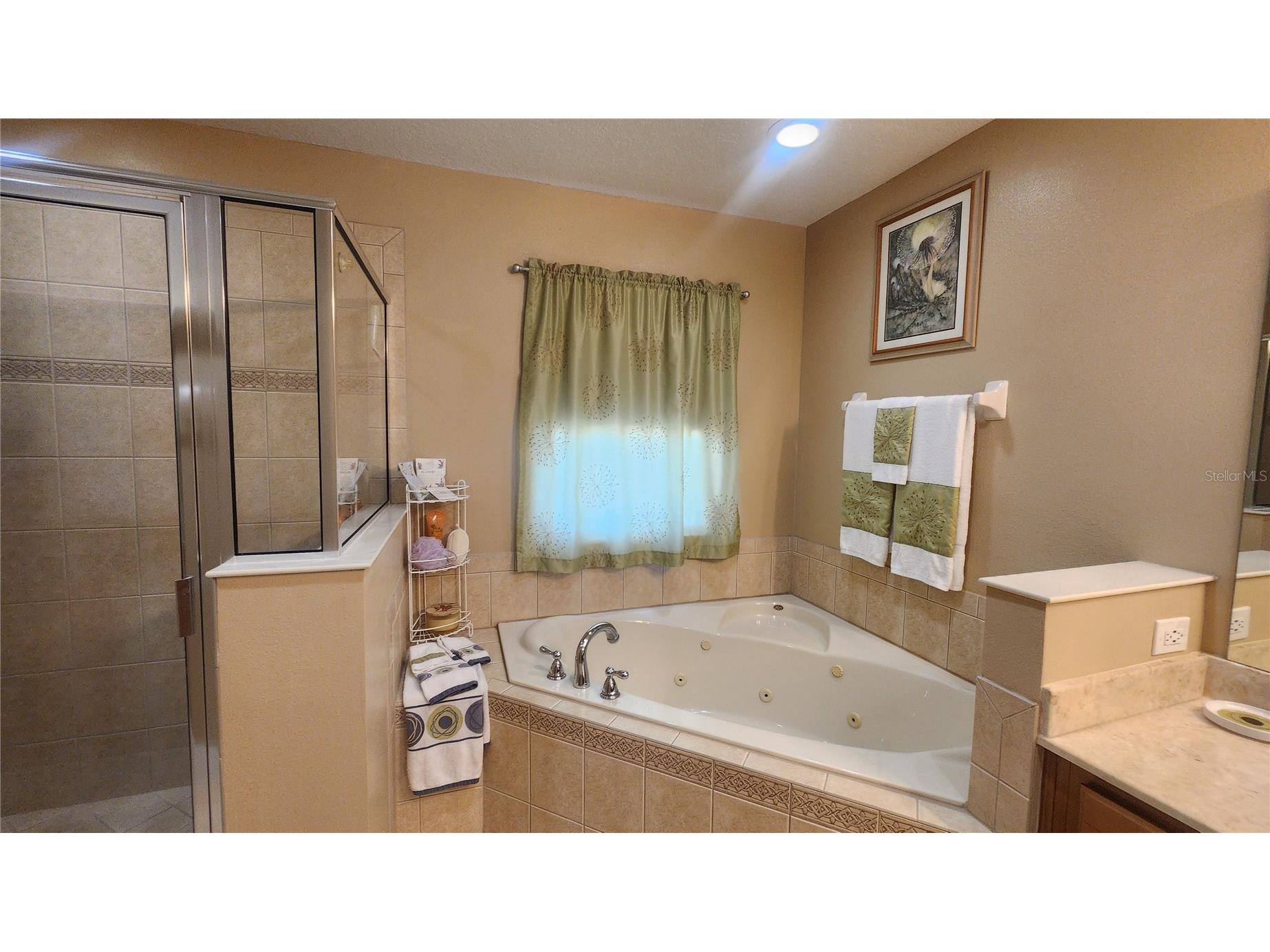 1915 Acacia Drive Kissimmee FL 34758 S5151805 image33