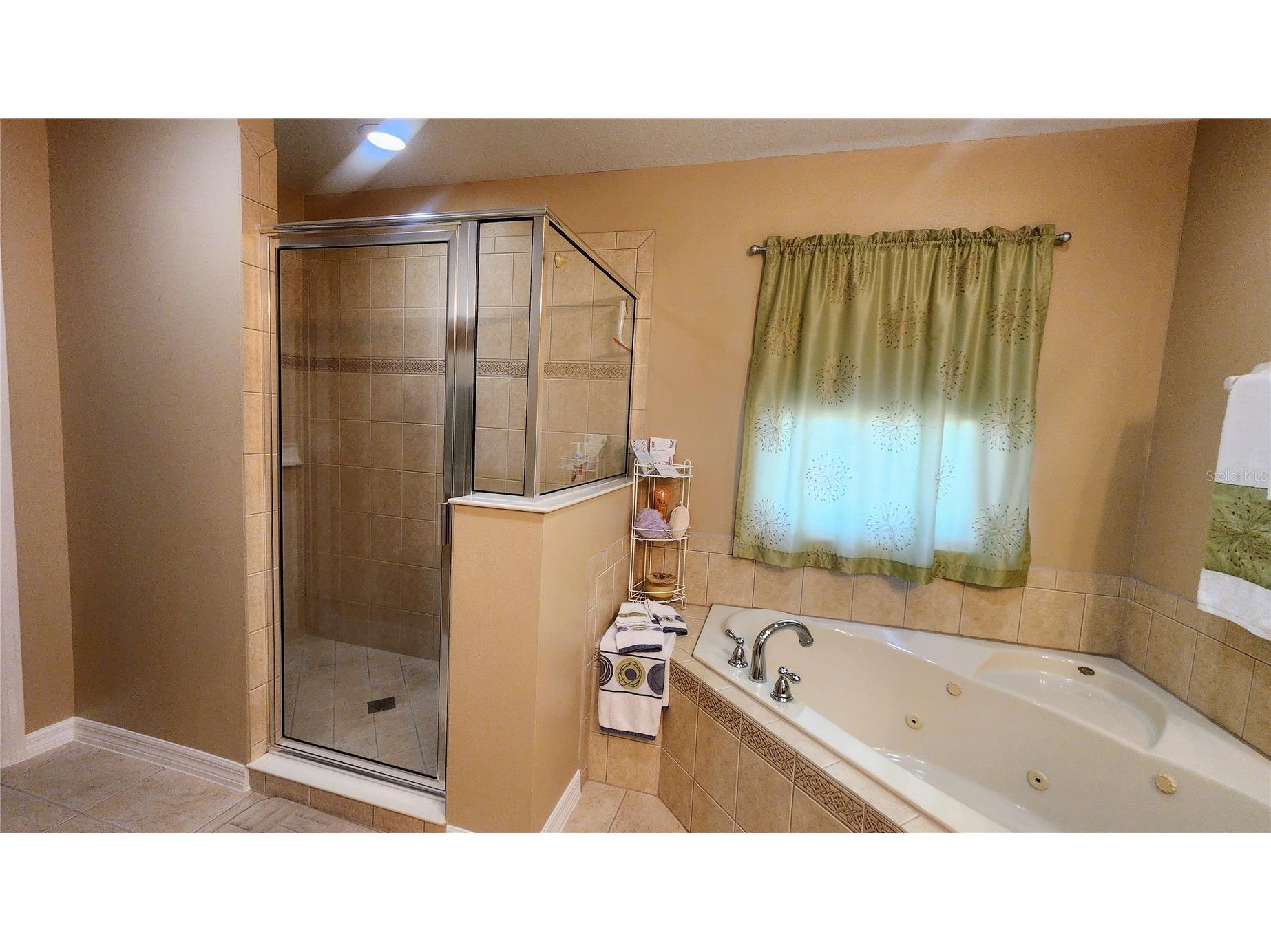 1915 Acacia Drive Kissimmee FL 34758 S5151805 image34