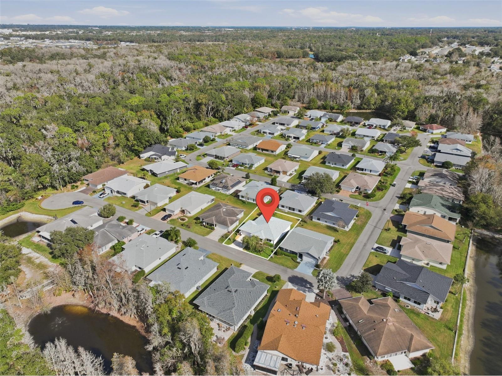 1915 Birchwood Loop Lakeland FL 33811 L4958549 image41