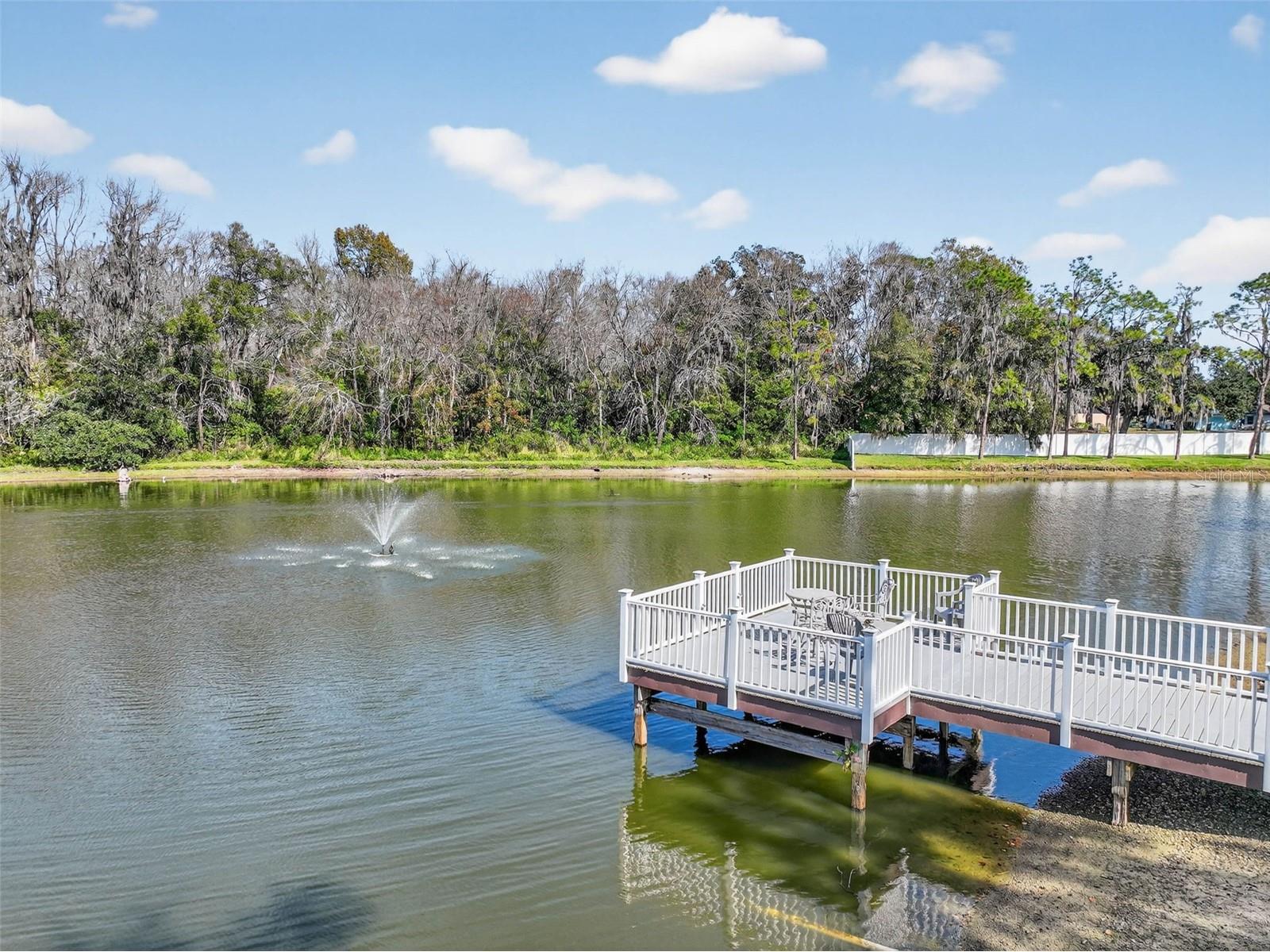 1915 Birchwood Loop Lakeland FL 33811 L4958549 image47