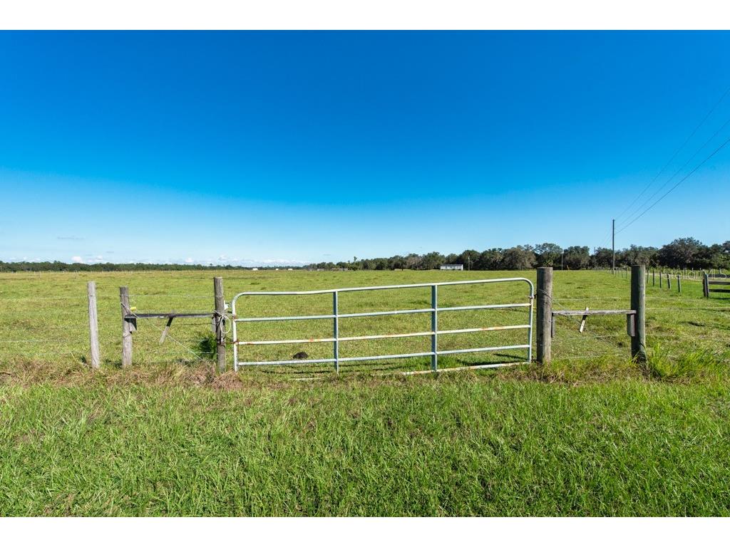 1915 Buffum Lake Trail Fort Meade FL 33841 TB8439327 image45