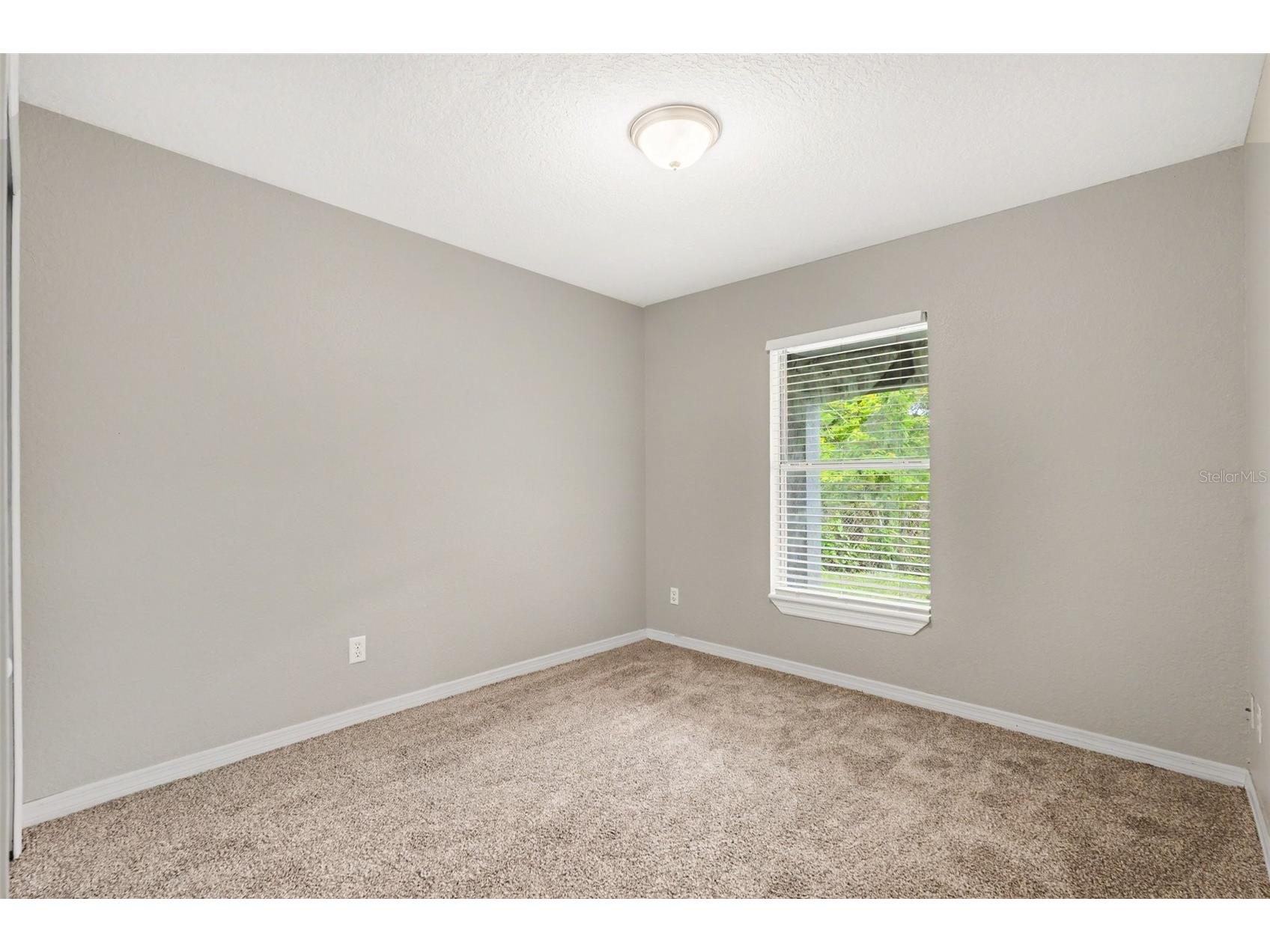 1915 E Mcberry Street Tampa FL 33610 O6411130 image11