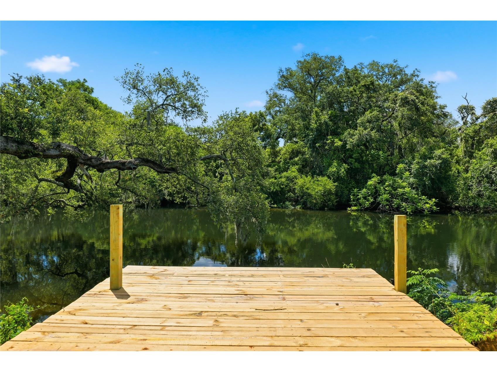1915 E Mulberry Drive Tampa FL 33604 - HILLSBOROUGH RIVER O6417488 image4
