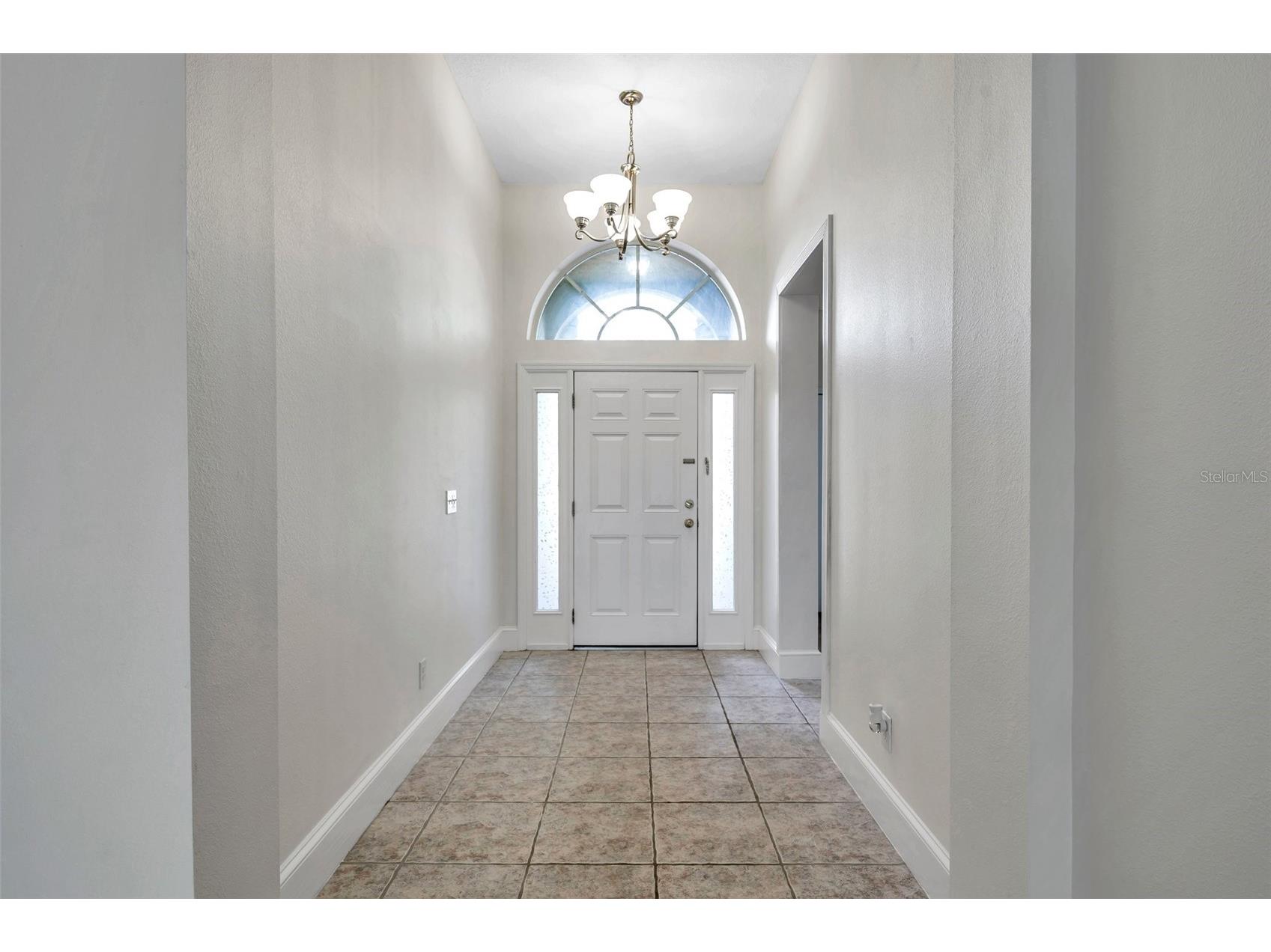 1915 Fruitridge Street Brandon FL 33510 TB8498174 image10