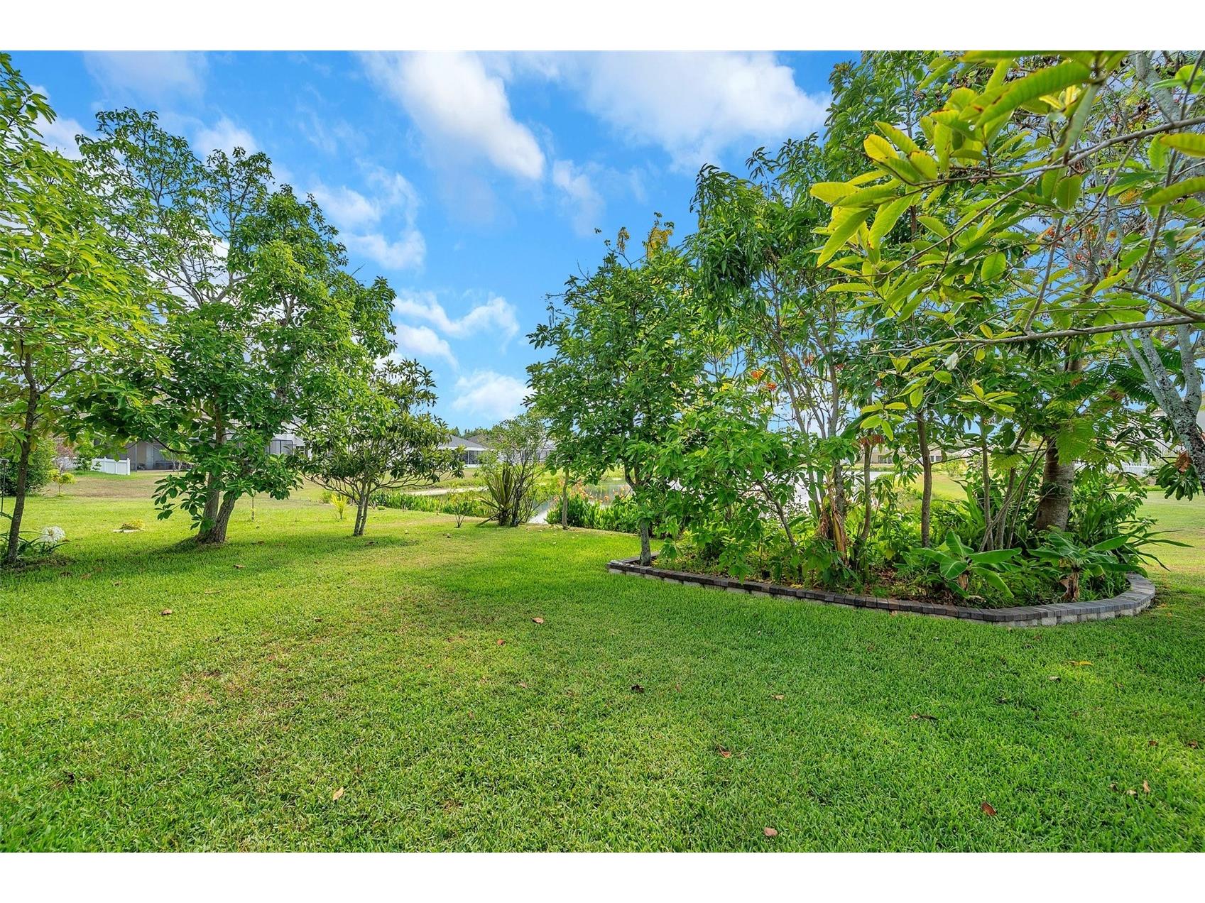 1915 Fruitridge Street Brandon FL 33510 TB8498174 image22