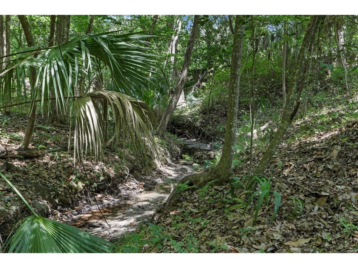 1915 NW 16th Avenue Gainesville FL 32605 GC540569 image37