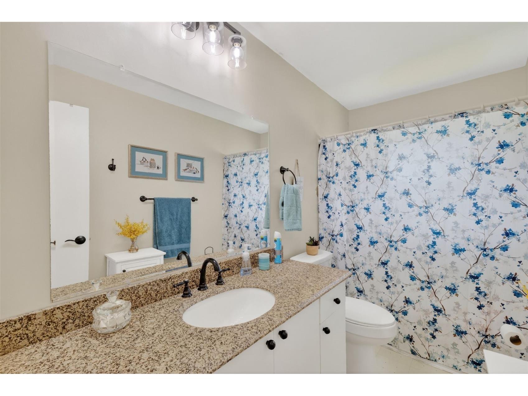 1915 Spring Lake Road Fruitland Park FL 34731 W7886457 image27