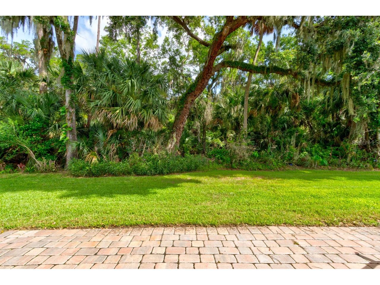 1915 Turnbull Lakes Drive New Smyrna Beach FL 32168 NS1088397 image29