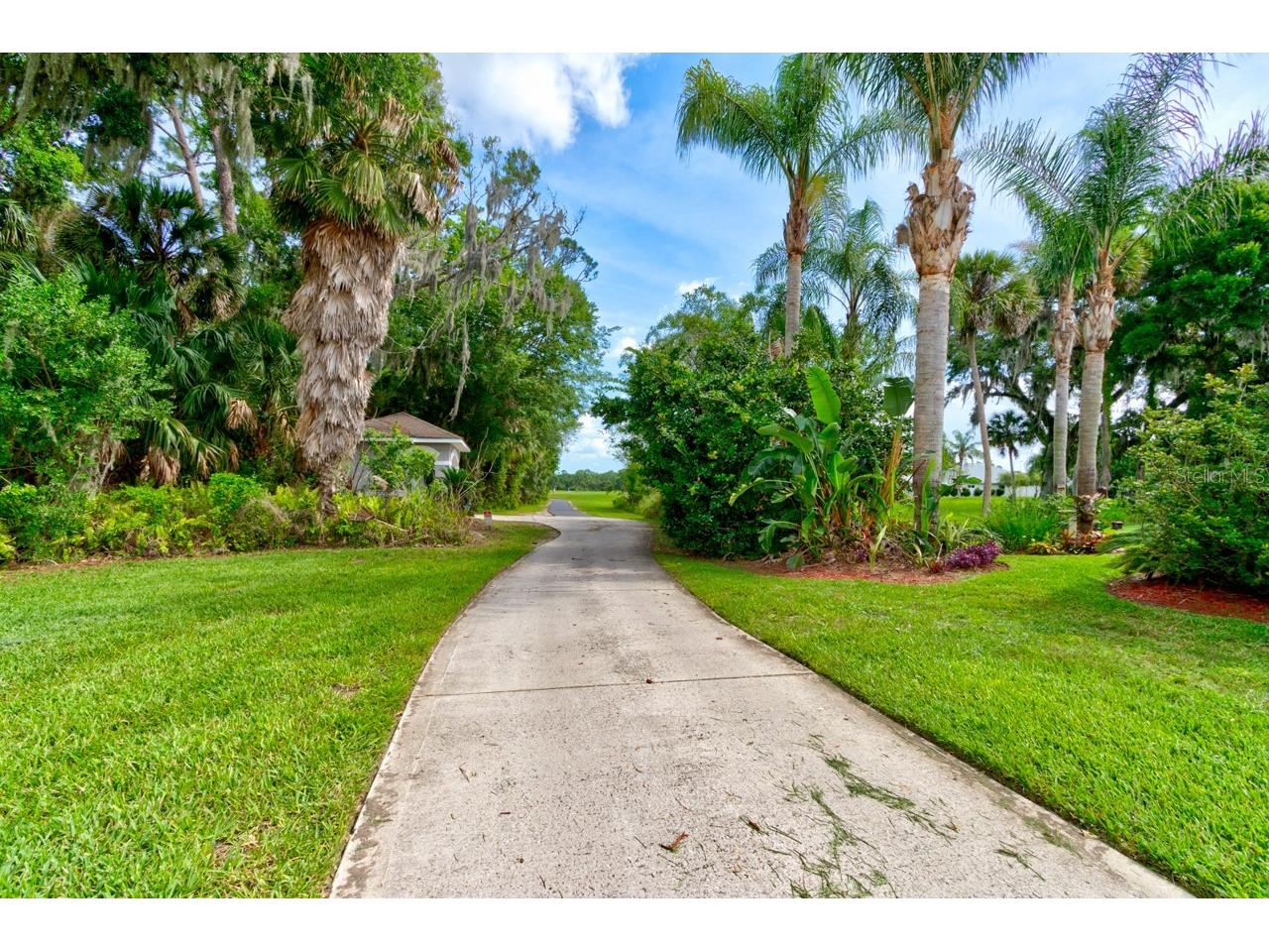 1915 Turnbull Lakes Drive New Smyrna Beach FL 32168 NS1088397 image30