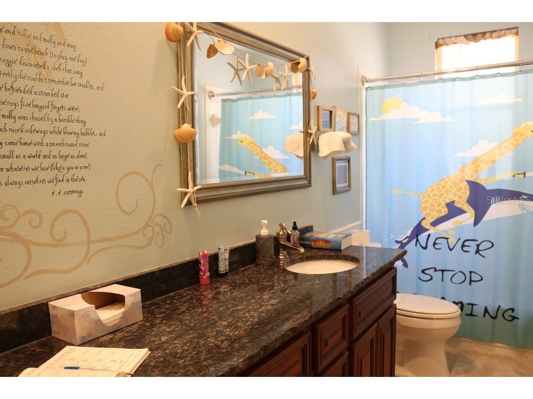 19150 Livingston Avenue Lutz FL 33559 TB8498760 image21
