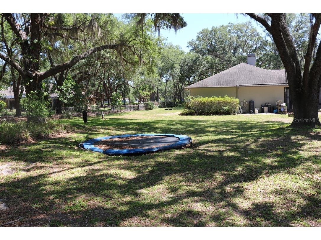 19150 Livingston Avenue Lutz FL 33559 TB8498760 image50