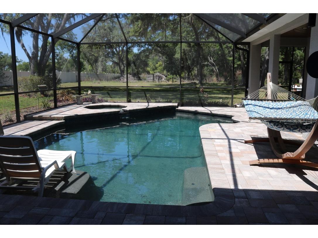 19150 Livingston Avenue Lutz FL 33559 TB8498760 image62