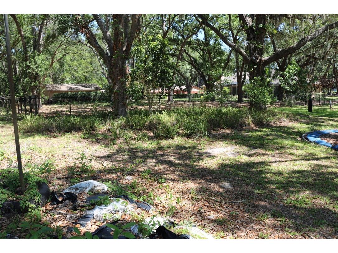 19150 Livingston Avenue Lutz FL 33559 TB8498760 image63