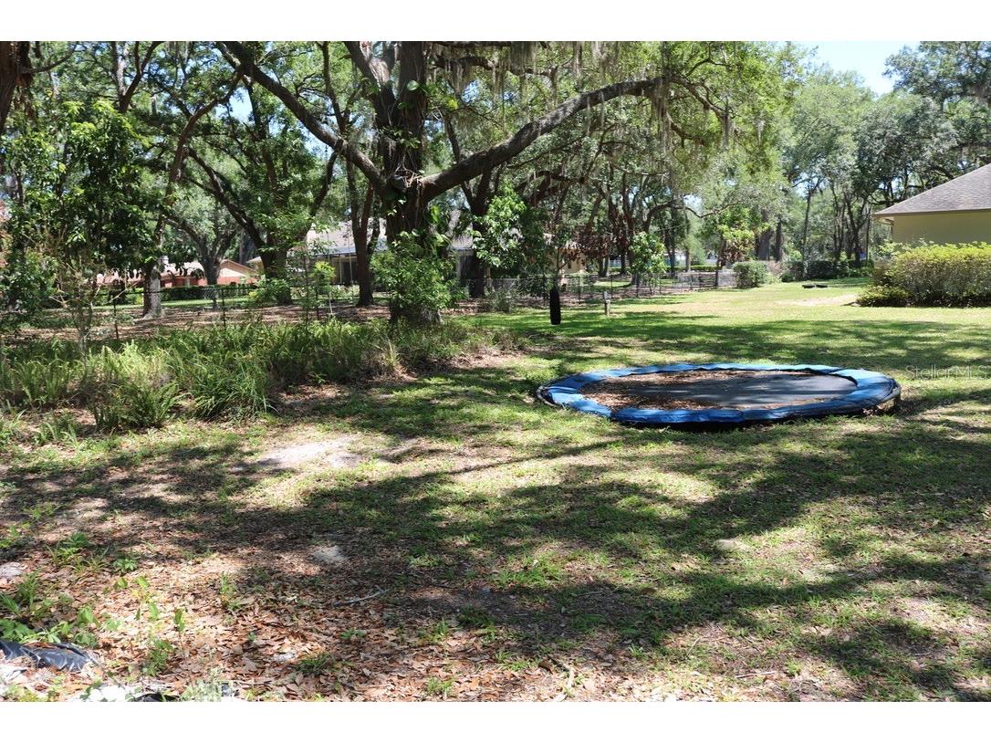 19150 Livingston Avenue Lutz FL 33559 TB8498760 image64