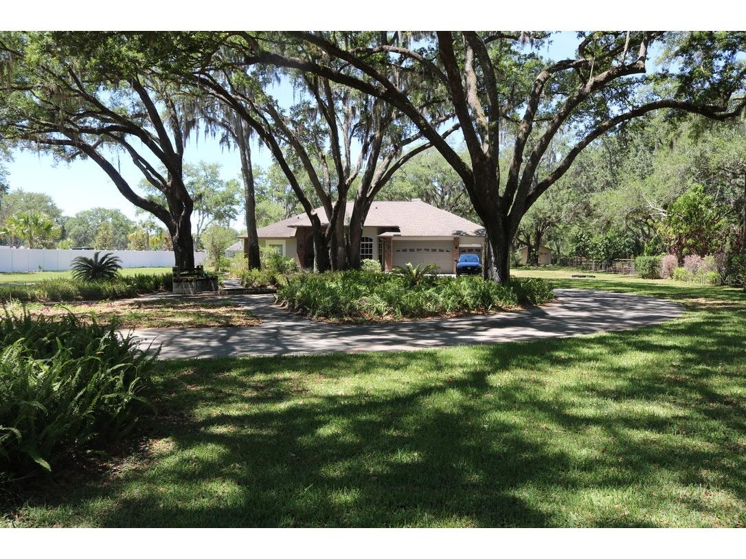 19150 Livingston Avenue Lutz FL 33559 TB8498760 image70