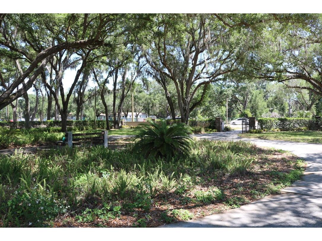 19150 Livingston Avenue Lutz FL 33559 TB8498760 image71