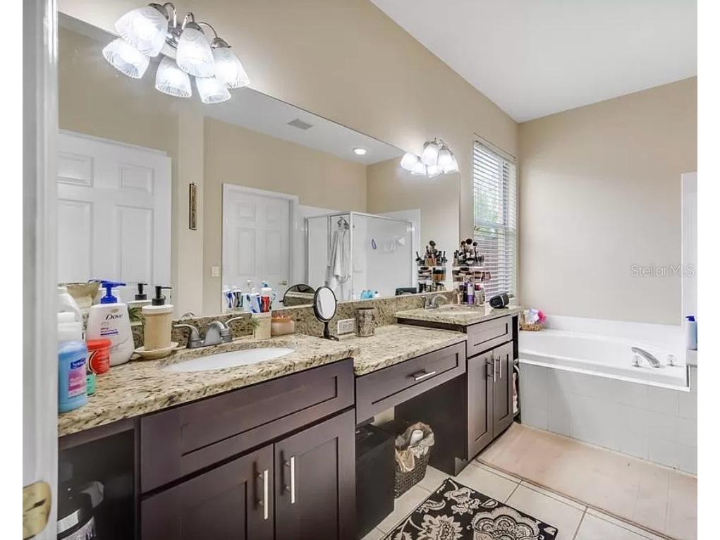 19151 Dove Creek Drive Tampa FL 33647 TB8518017 image19