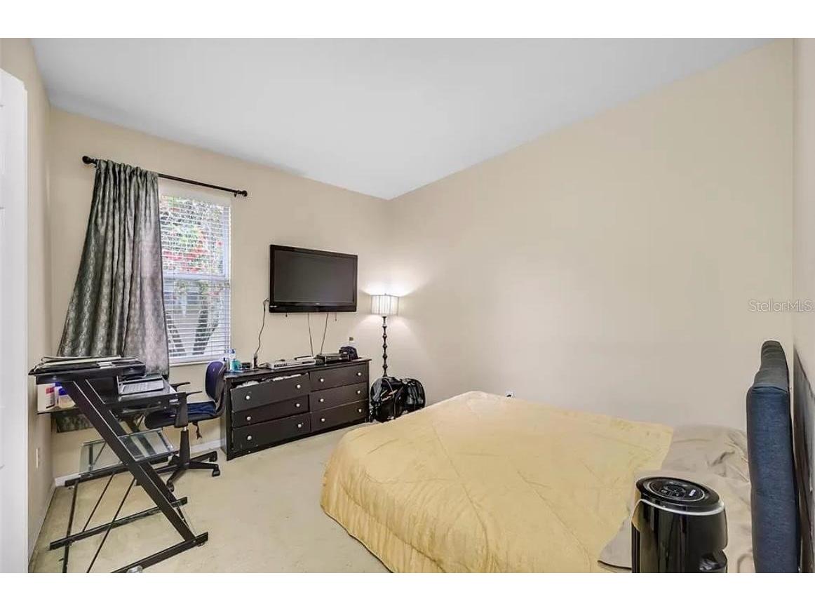 19151 Dove Creek Drive Tampa FL 33647 TB8518017 image21