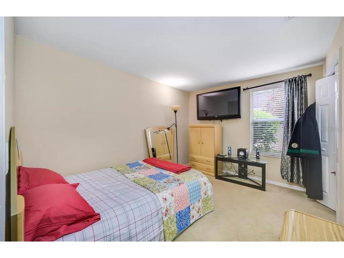 19151 Dove Creek Drive Tampa FL 33647 TB8518017 image23