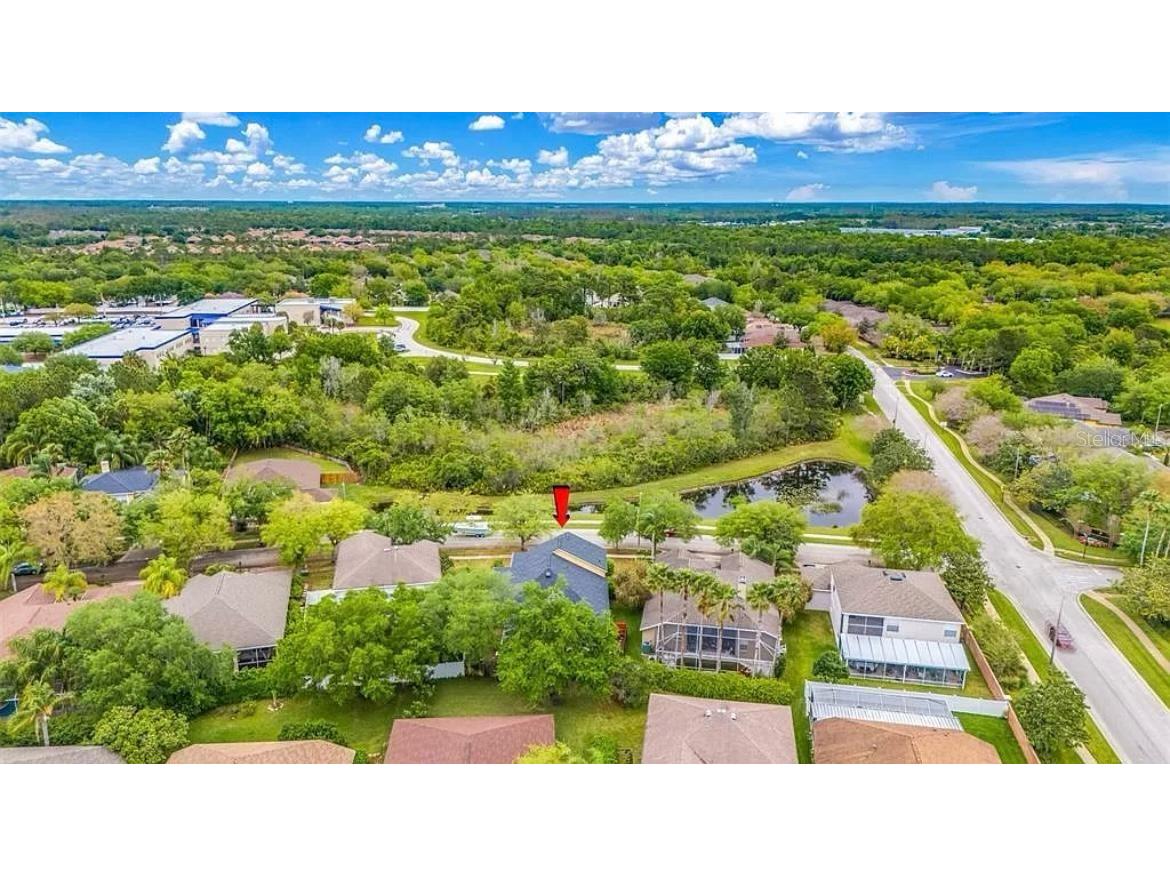 19151 Dove Creek Drive Tampa FL 33647 TB8518017 image26
