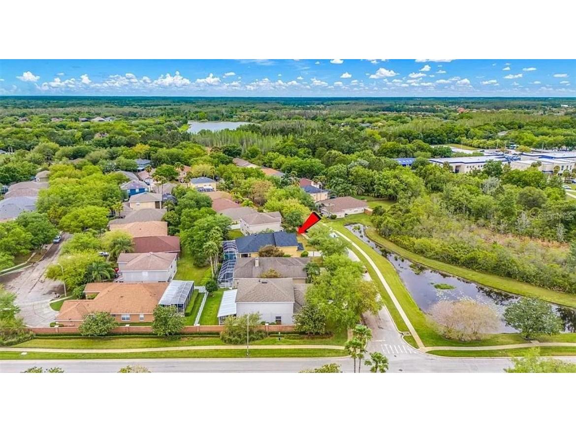 19151 Dove Creek Drive Tampa FL 33647 TB8518017 image28