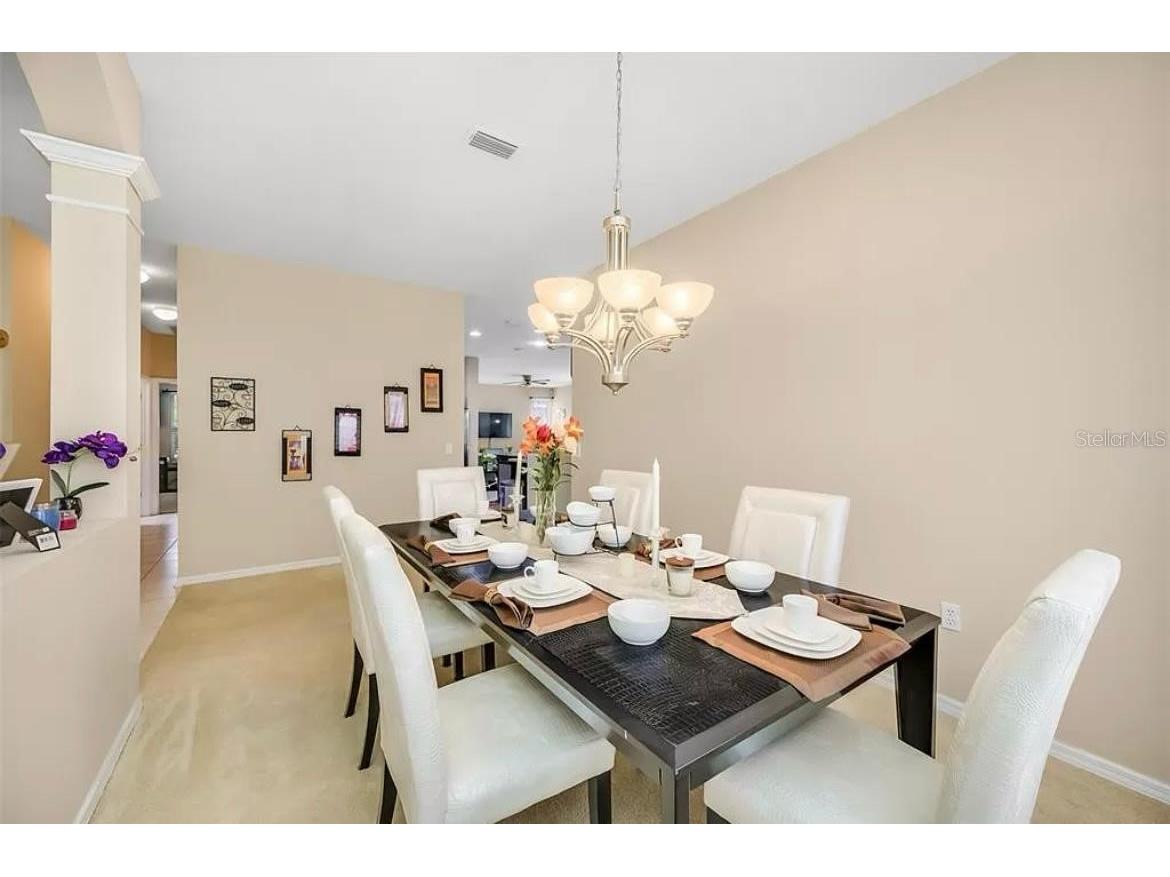 19151 Dove Creek Drive Tampa FL 33647 TB8518017 image8