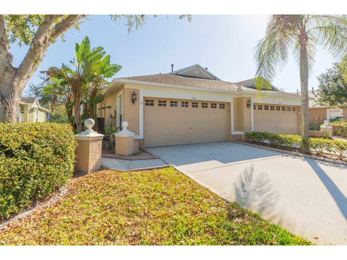 19151 White Wing Place Tampa FL 33647 T3429653 image1