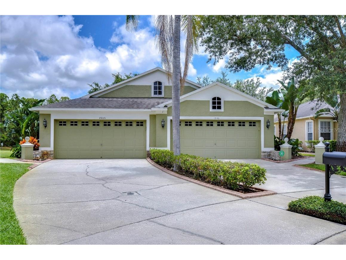 19153 White Wing Place Tampa FL 33647 T3532481 image1