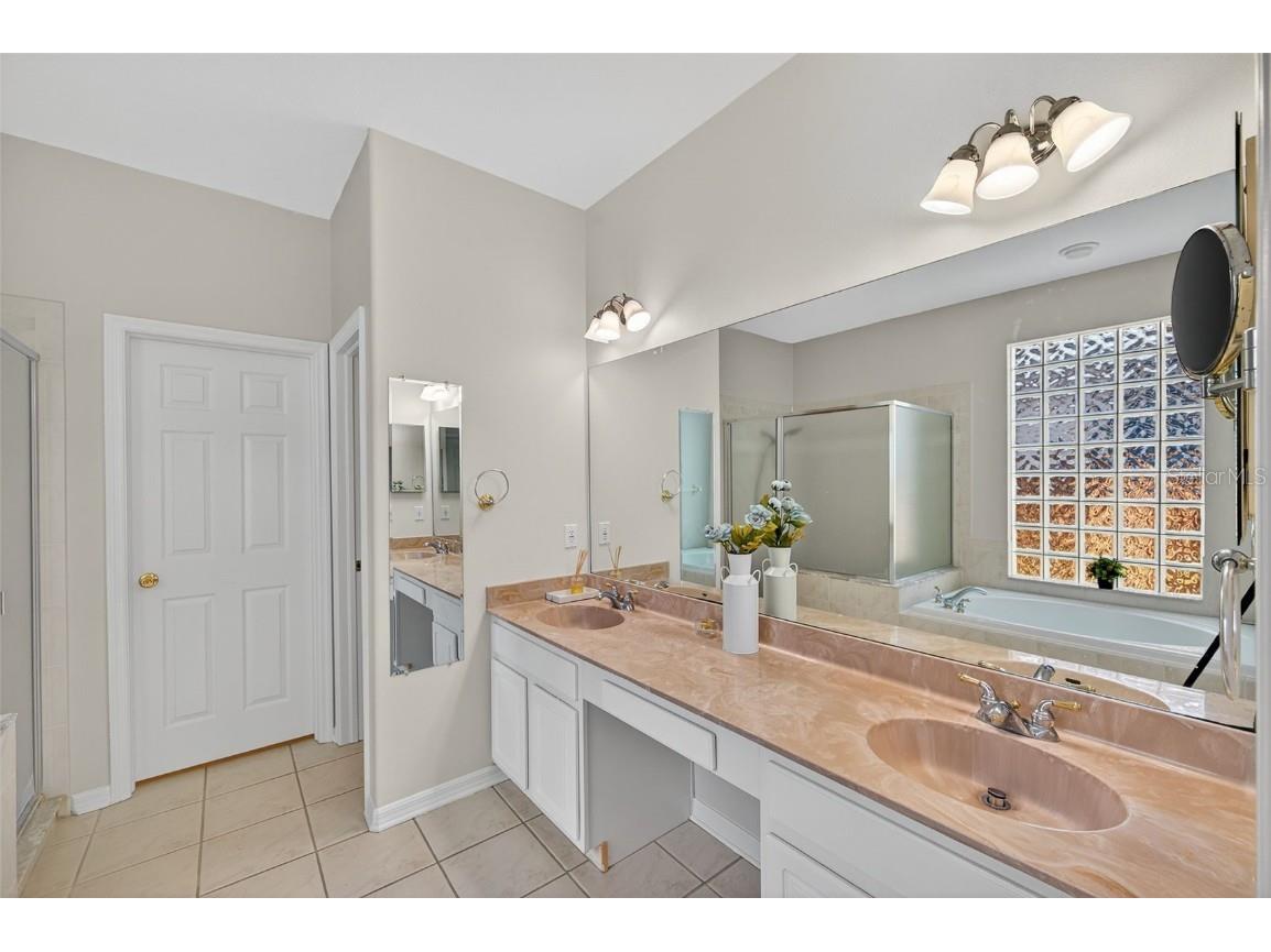 19156 Dove Creek Drive Tampa FL 33647 TB8385689 image39