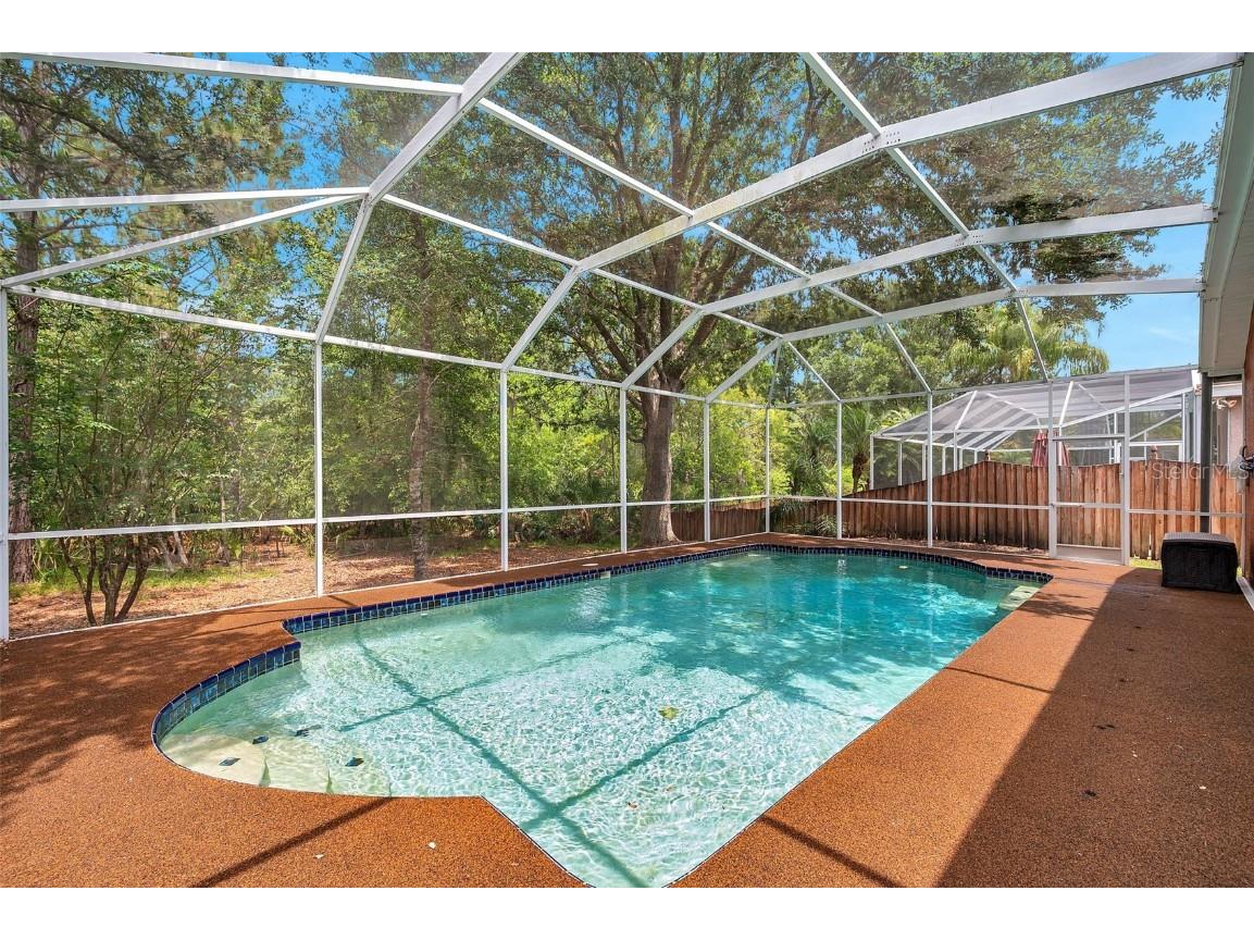 19156 Dove Creek Drive Tampa FL 33647 TB8385689 image4