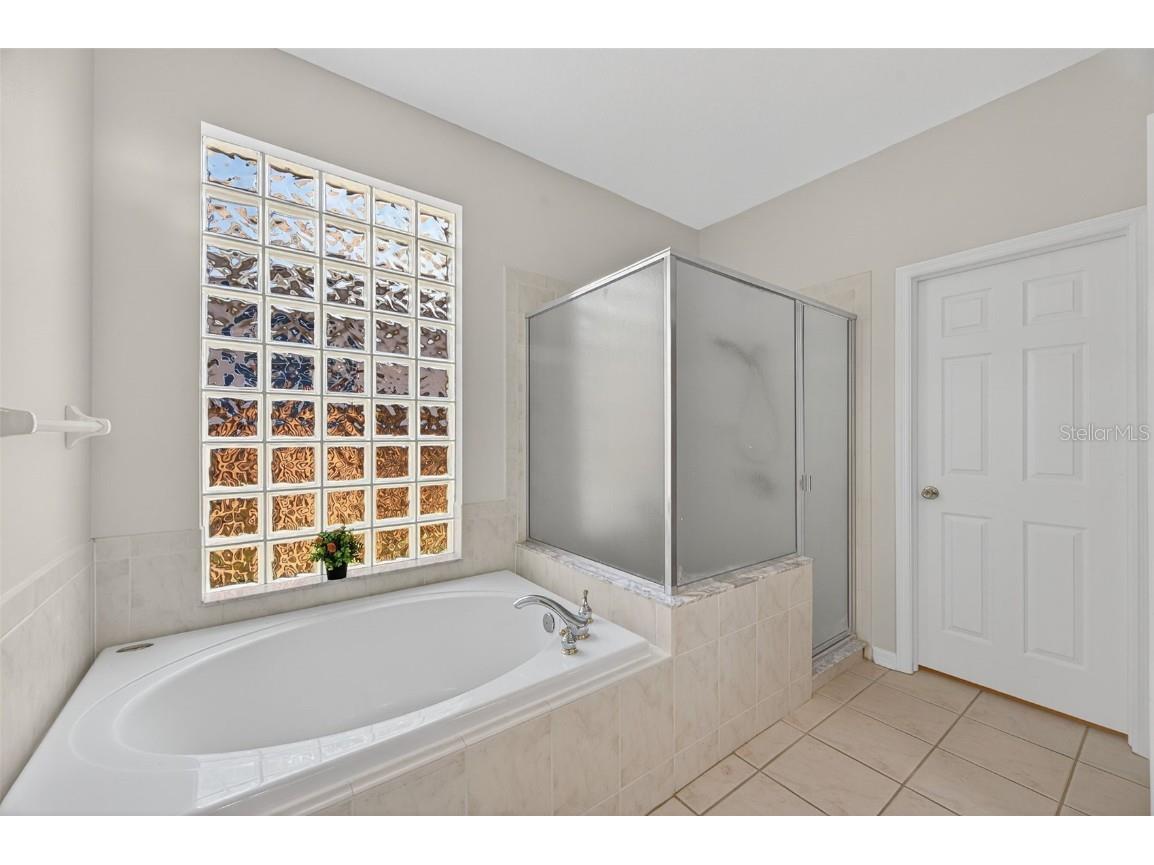 19156 Dove Creek Drive Tampa FL 33647 TB8385689 image40