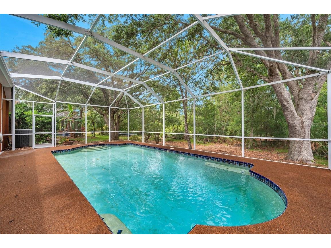 19156 Dove Creek Drive Tampa FL 33647 TB8385689 image5