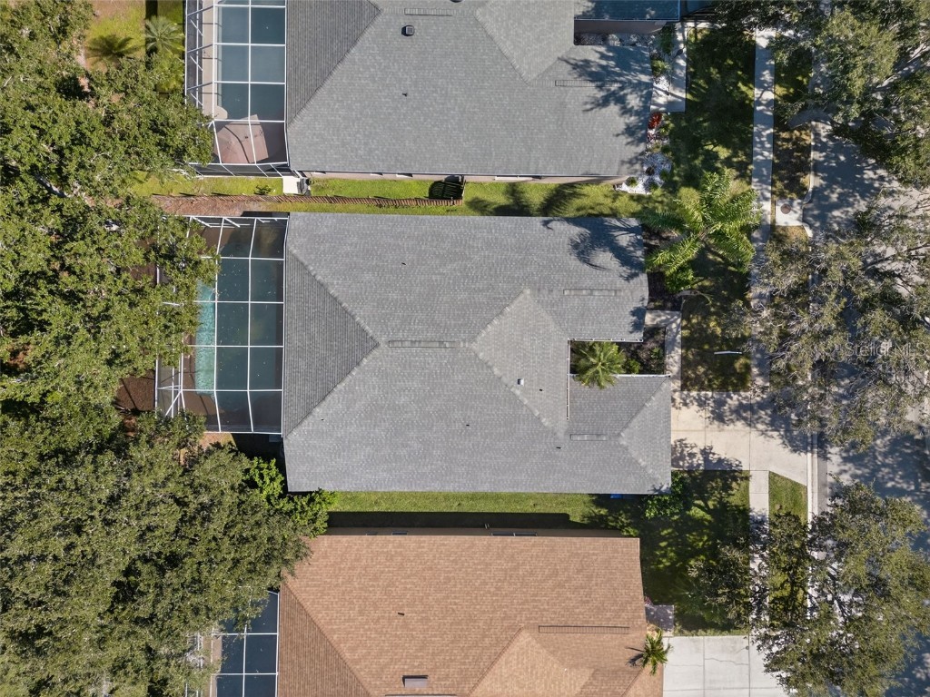 19156 Dove Creek Drive Tampa FL 33647 TB8385689 image58