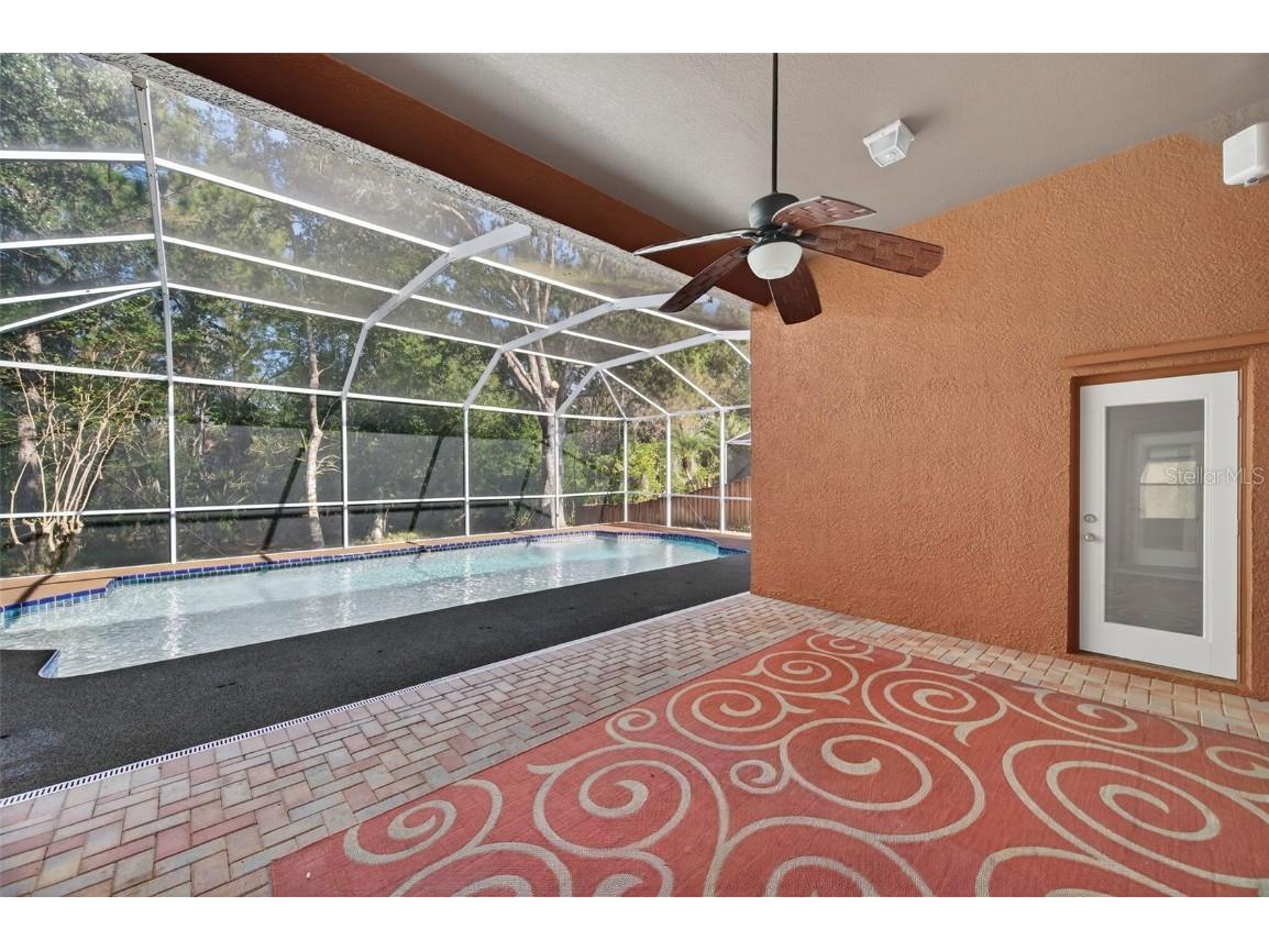 19156 Dove Creek Drive Tampa FL 33647 TB8385689 image60