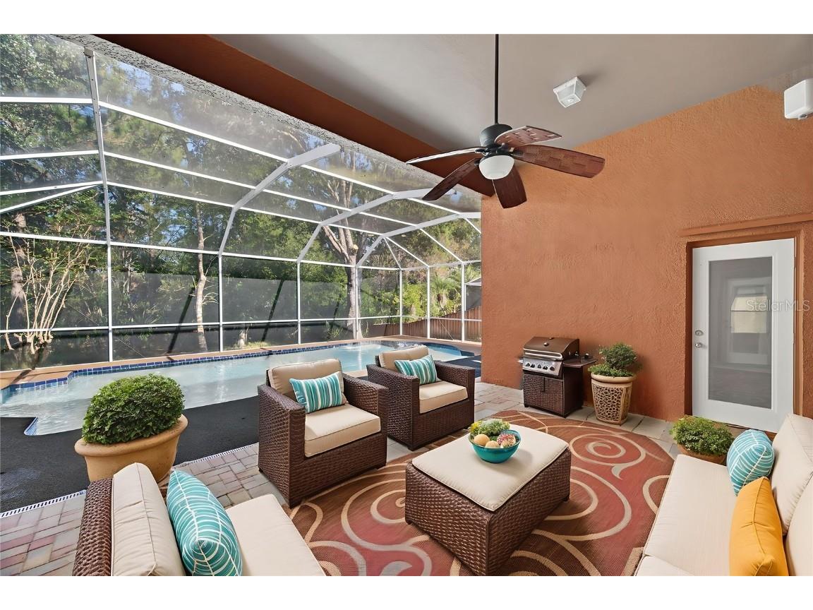 19156 Dove Creek Drive Tampa FL 33647 TB8385689 image61