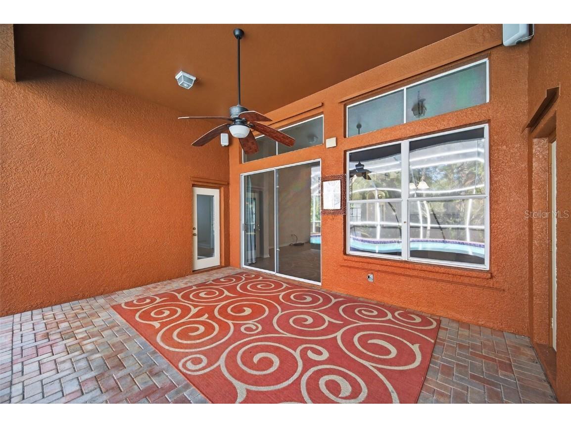 19156 Dove Creek Drive Tampa FL 33647 TB8385689 image62