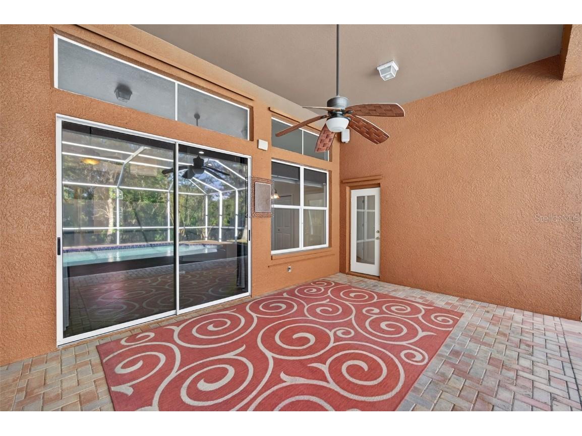 19156 Dove Creek Drive Tampa FL 33647 TB8385689 image63